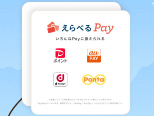 tiktokえらべるPay