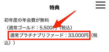翌年以降は年間33,000円(税込)