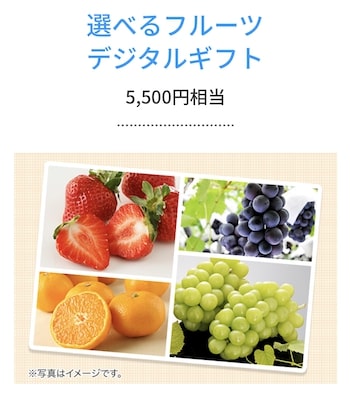 スマイルゼミ｜選べるフルーツデジタルギフトがもらえるキャンペーンコード・クーポン【23:9:27まで】