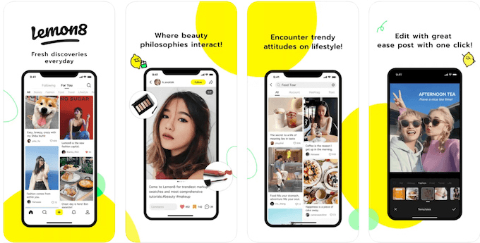 レモンエイトとは 2